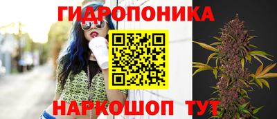 сатива Рязань