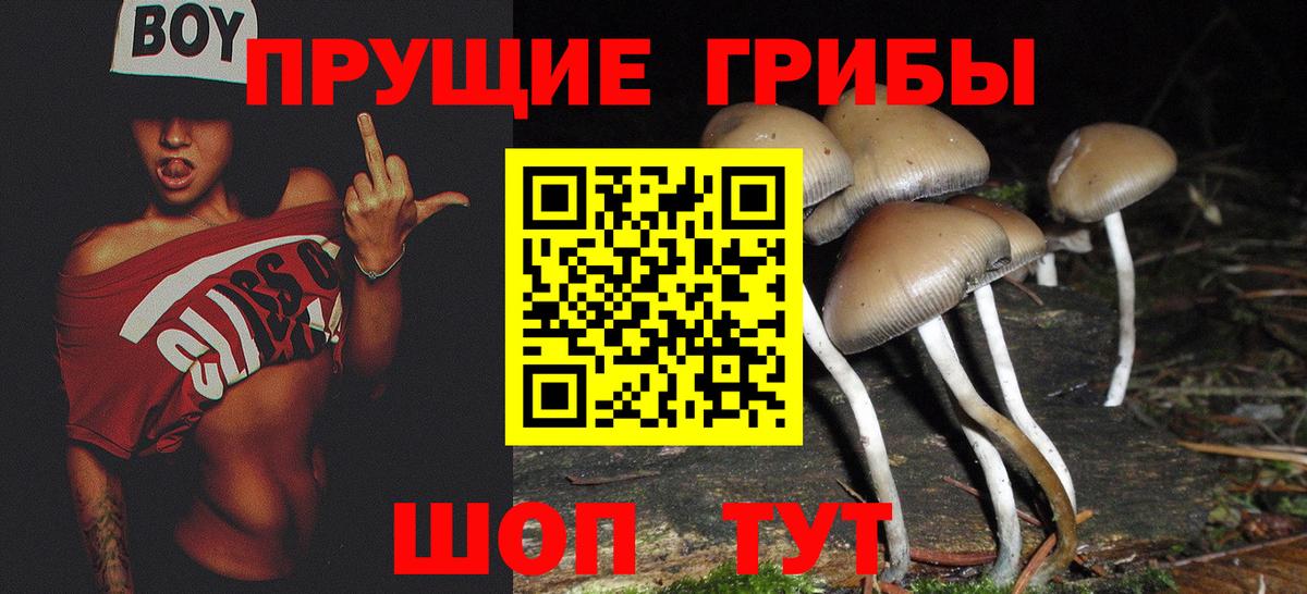 Псилоцибиновые грибы Psilocybe  Вход с VPN  магазин продажи   Ахтубинск 